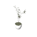 DOWNLOAD 3D_Potted_Plant_9.rfa